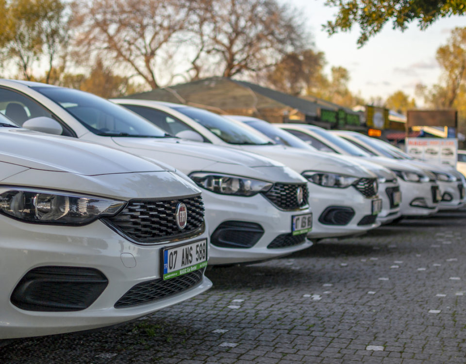 Carro híbrido ou elétrico? Saiba qual o melhor para você